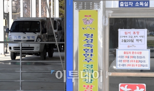 [포토]구제역에 경매시장 휴장 명품한우를 지켜라!