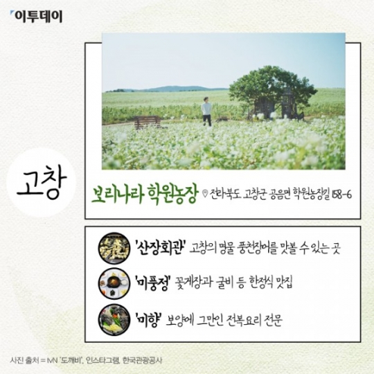 [카드뉴스 팡팡] 도깨비 촬영지 갔다가 맛집에 홀리다