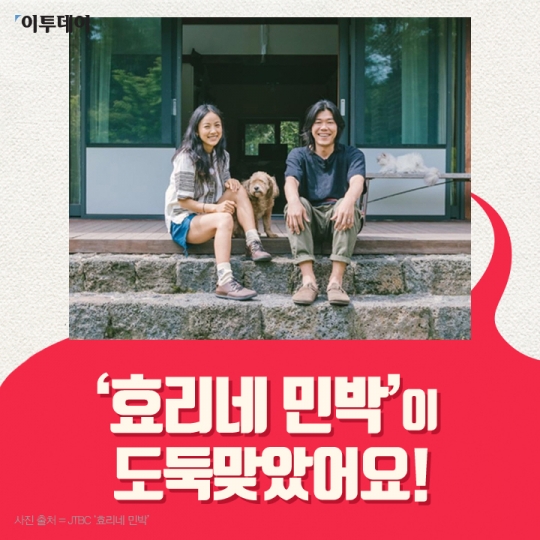 [카드뉴스 팡팡] ‘효리네 민박’이 도둑맞았어요!