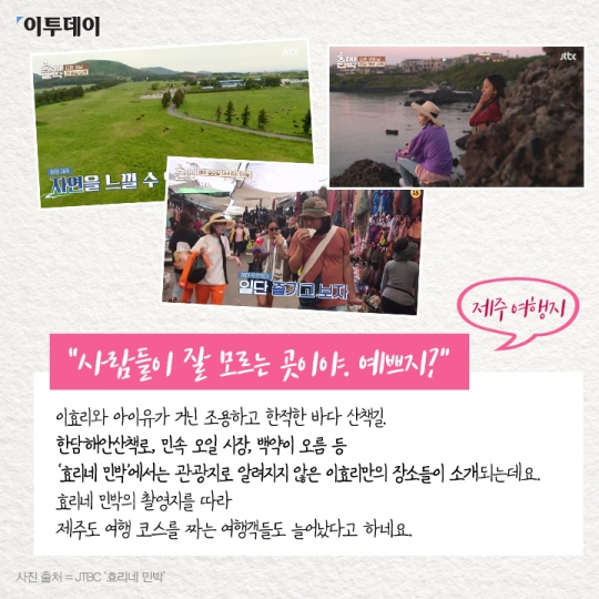 [카드뉴스 팡팡] “‘효리네 민박’ 회장님이 하는 건 다~ 따라 하고 싶어요”