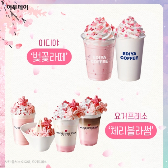 [카드뉴스 팡팡] 벚꽃이 핀다! 입 안에서 화알짝~