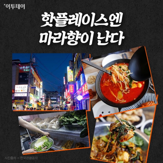 [핵인싸 따라잡기] ‘마심’을 잡아라…대륙의 매운맛, ‘마라’가 휩쓴 대한민국