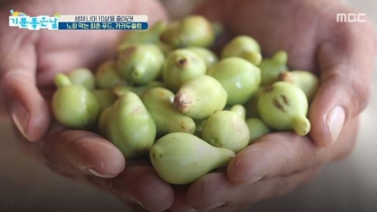 카카두플럼, 주방에서 즐기는 다양한 맛…방법도 간단해