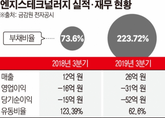 [상장사 재무분석] 실적 부진 엔지스테크널러지, 재무 부담 안고 사업 다각화