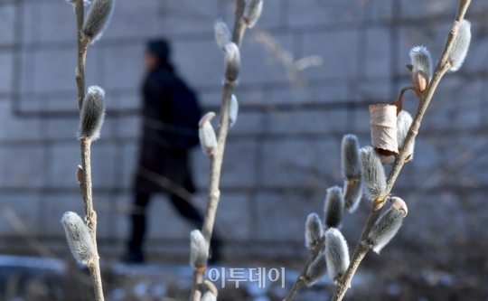 2020년 우수, 뜻과 유래는?…다음 절기는 경칩