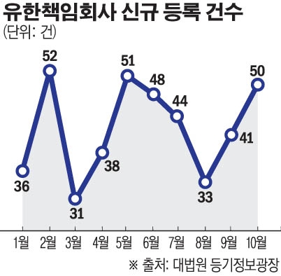 [다국적 기업 도 넘은 행태]②유한책임회사 뒤에 숨은 외국계기업...‘매출 깜깜이’