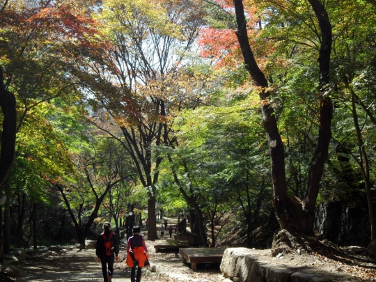 팔공산, 국립공원 승격할까…29일 주민설명회·공청회 개최
