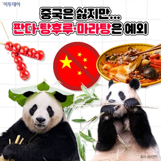 중국은 싫지만…푸바오·탕후루·마라탕은 예외 [요즘, 이거]