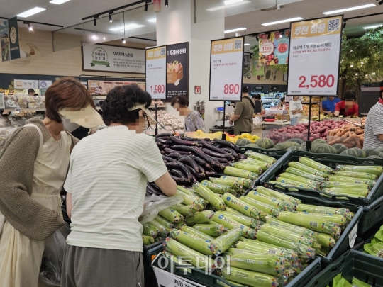 [르포]“정말 파격 세일 맞나요?”…대형마트 3사 ‘물가 잡기 할인전’ 가보니