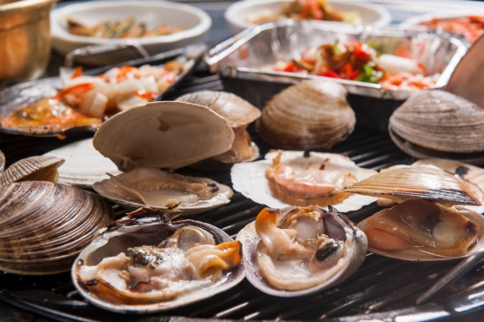 ‘생방송 투데이’ 오늘방송맛집- 역주행, 낭만 가득한 미식 여행! 조개구이 맛집 ‘청○’