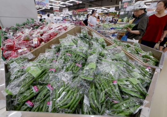 폭염 속 채소가격 상승…오이 37%·청양고추 56% 올라 [포토]
