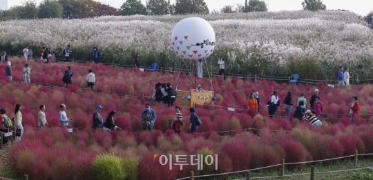 완연한 가을 나들이 나온 시민들 [포토]