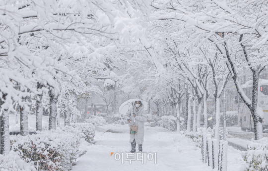 기상관측 117년만 역대 11월 중 가장 많은 눈 쌓인 서울 [포토]