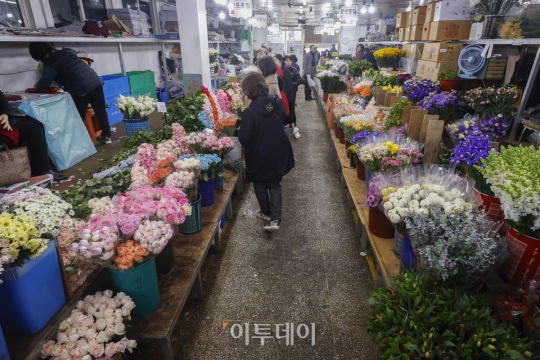 졸업식 시즌이지만 절화 거래량 22% 감소... 졸업식 특수 옛말 [포토]