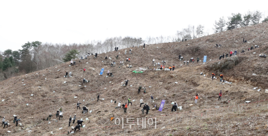 희망의 나무 심어요 유한킴벌리, 신혼부부 나무 심기 [포토]