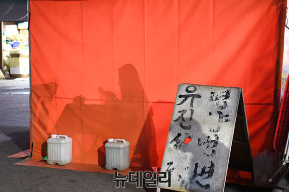 니콘 최상급 DSLR D5 써보니…고감도-고화질-고속, 삼박자 완벽