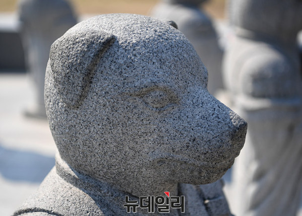 [오늘의 운세] 개띠 58년생, 돈벼락 맞는다.. 돼지띠, ㅇ·ㅎ 성 가진 사람 주의하라