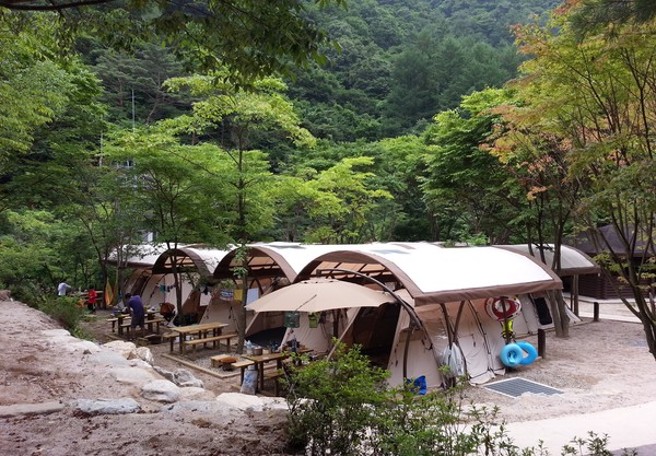 소백산국립공원북부사무소, 남천야영장 내달 1일 ‘개장’