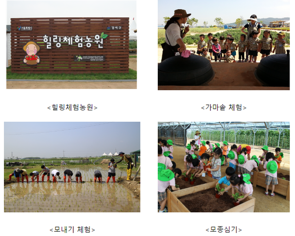 서울시, 어린이·청소년 대상 힐링체험농장 열어