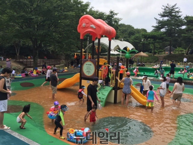 동해안 최고의 힐링 명소 숲속 물놀이장 7일 개장