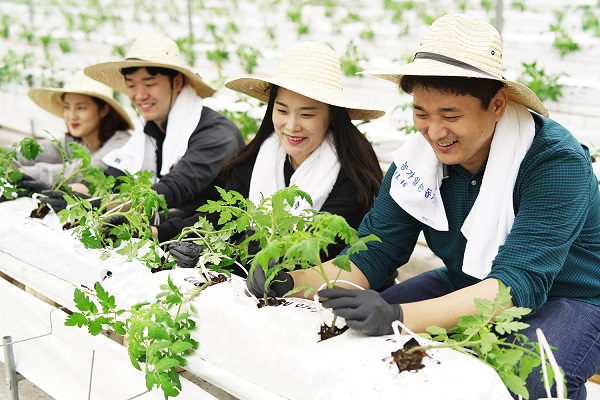 신세계푸드, 협력농가 팜팜농장 일손돕기 봉사 