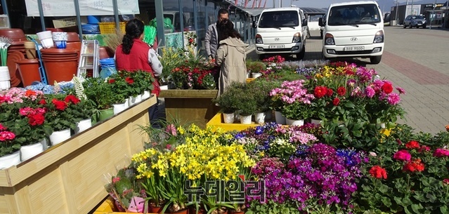 [전통시장] 생거 진천시장  ‘젊은피’ 수혈 시장 ‘활력’ 