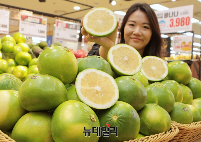 [포토] 롯데마트 초록자몽이라 불리는 메로골드 킹자몽 맛보세요