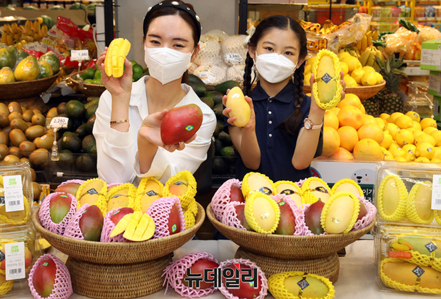 [포토] 이마트 세계 망고 다모여라