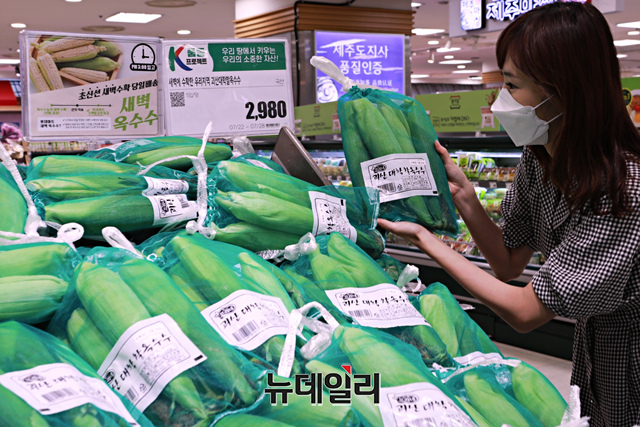 [포토] 롯데마트 신선한 괴산 대학 찰옥수수 만나세요