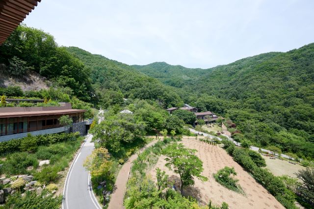 [수상한르포] 돈 내고 불편함을 사는 힐리언스 선마을… 휴대폰도 안터져