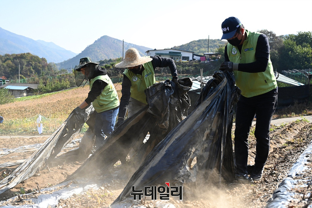 [포토] 충주 중원농협 농가 일촌돕기 나선 농협유통