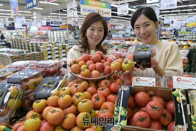 [포토] 농협 하나로마트 봄에 나오는 아삭한 짭짤이 토마토 맛보세요