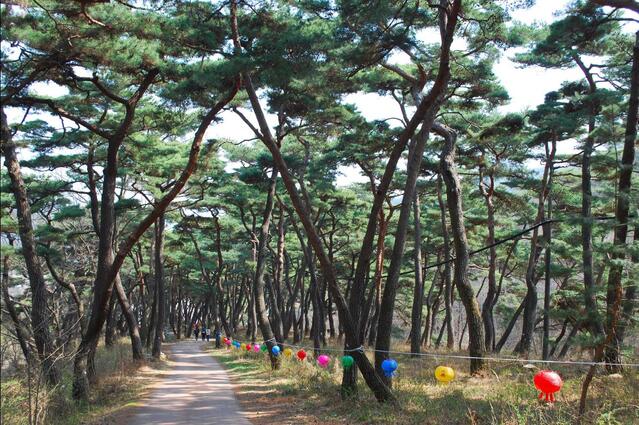 [진경수의 山 이야기] 鳳谷寺·鳳首寺 품은 봉황의 머리 닮은 ‘봉수산’