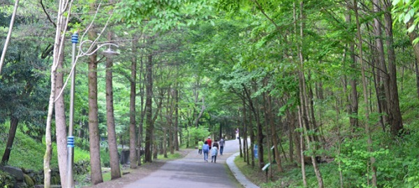 대전시, 22∼30일 ‘여름방학 맞이 숲속愛 가족 힐링캠프’