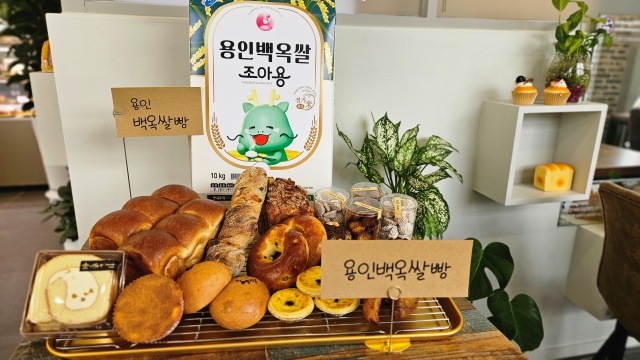 용인시, ‘백옥쌀’ 활용한 제빵용 ‘백옥쌀가루’ 출시