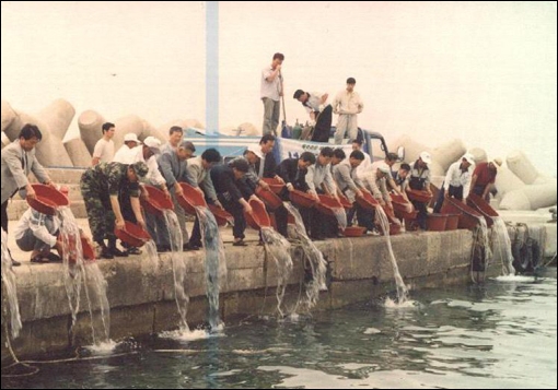 [대구경북]수산자원 늘려 부자어촌 만든다