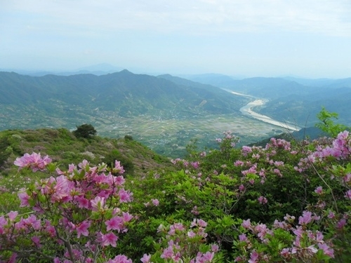 [부산경남]하동 8경 ‘악양 형제봉’ 철쭉의 향연