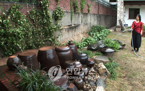 전인화, 이효재의 자연주의 살림법으로 내레이션 데뷔