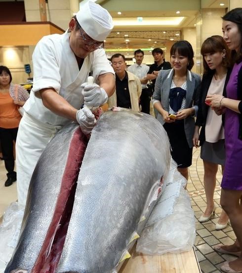 일본 18억 참치, 1999년 이래 최고 가격 맛은 어떨까?