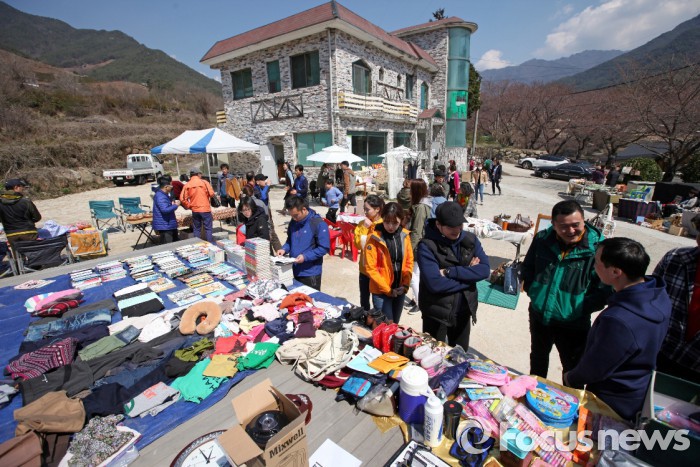 하동 화개골 열려라 꽃장 열린다