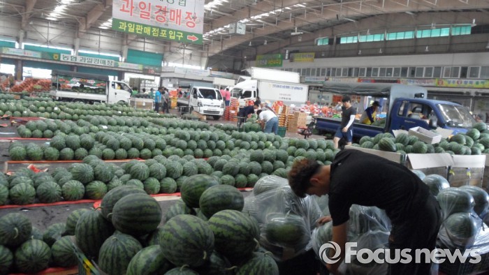 진주시 농산물도매시장, 여름 으뜸과일 수박 인기