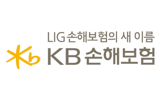 KB손보 대리운전보험 불만 많아…약관 수정 검토 중