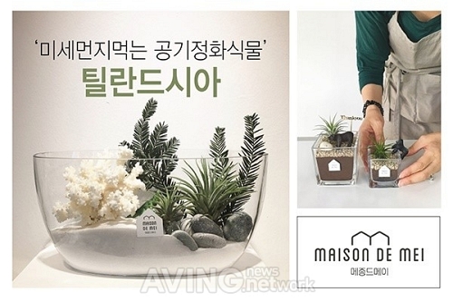 [미리보는 메가쇼 2016 시즌1] 리유디자인그룹, 미세먼지 먹는 식물로 유명한 틸란드시아 테라리움 전문 브랜드 메종드메이 선보일 예정