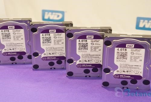 WD, 24시간 보안 환경에 최적화된 HDD ‘WD 퍼플’ 출시