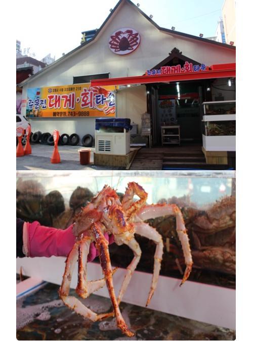 원주맛집 주문진대게회타운 주머니 사정 생각해 저렴하고 푸짐한 곳