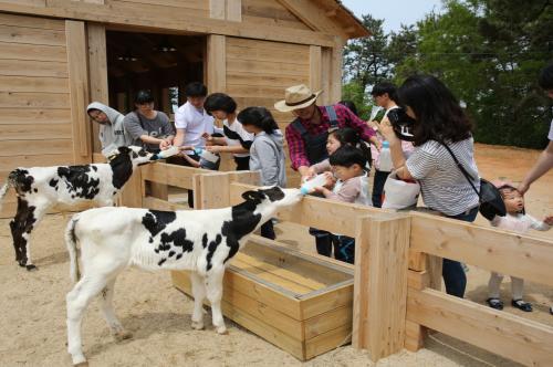 세계유산 3관왕 꿈꾸는 고창… 자연과 인간의 공존