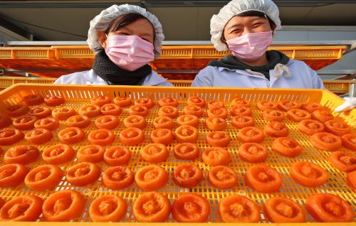 [산청군 브리핑] 산청군, 농림축산식품사업 신청 접수 등