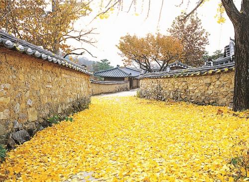 경북문화관광공사, 경북 일주일 살기 상품 운영 시작
