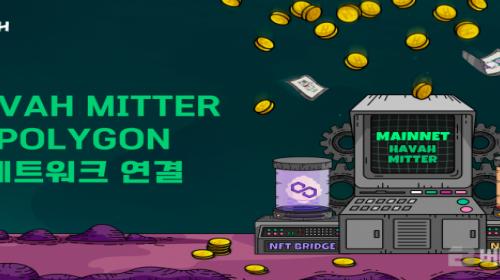 하바, 메인넷 서비스 하바 미터에 폴리곤 네트워크 추가