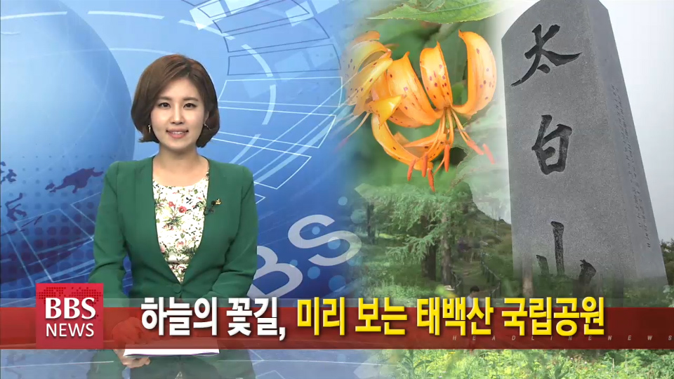 하늘의 꽃길, 미리 보는 태백산 국립공원